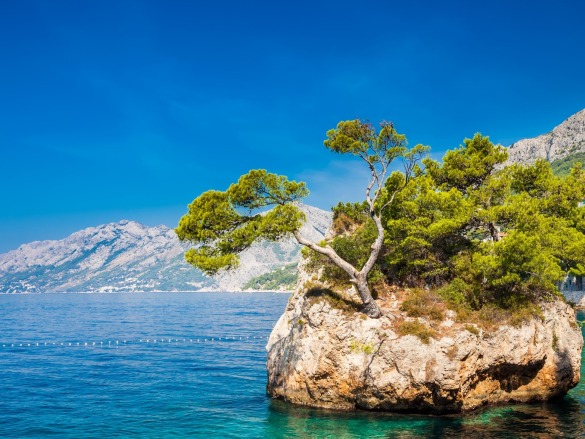 Auf der Insel Brela in Kroatien kan man wunderbar Urlaub machen